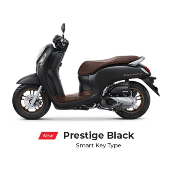 Scoopy Prestige Black