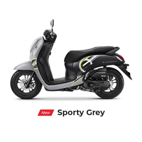 Scoopy Sporty Grey